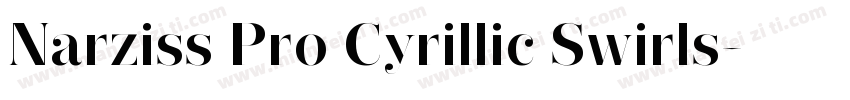 Narziss Pro Cyrillic Swirls字体转换